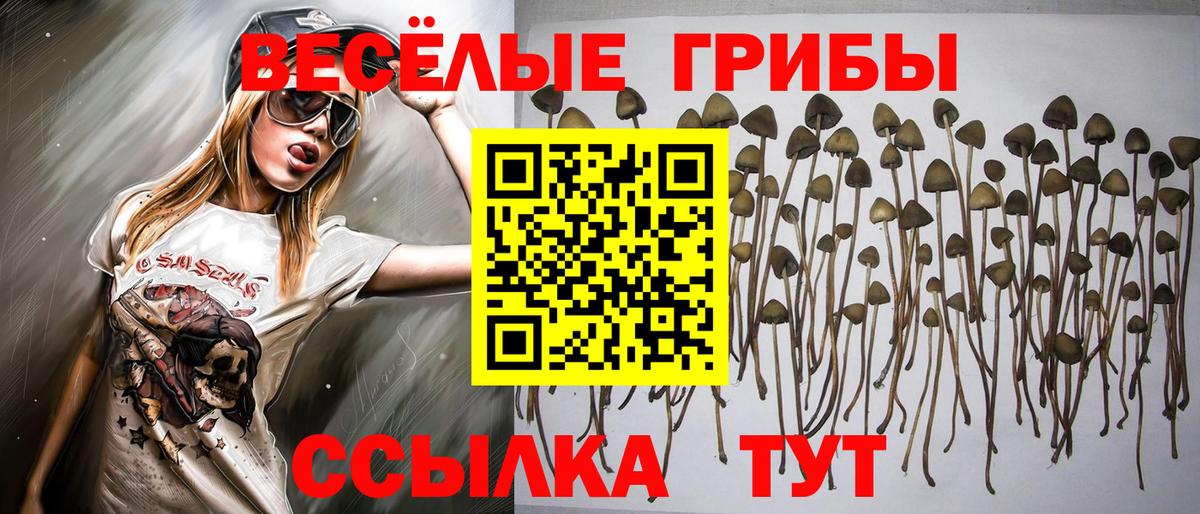 Галлюциногенные грибы Psilocybine cubensis Ревда